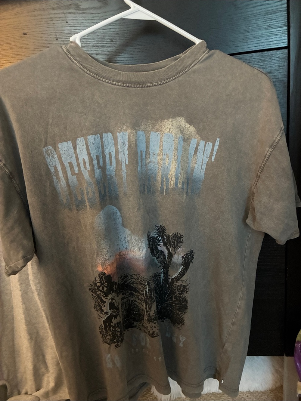 Desert Horizon Graphic Short-Sleeve Tee - Washed Brown